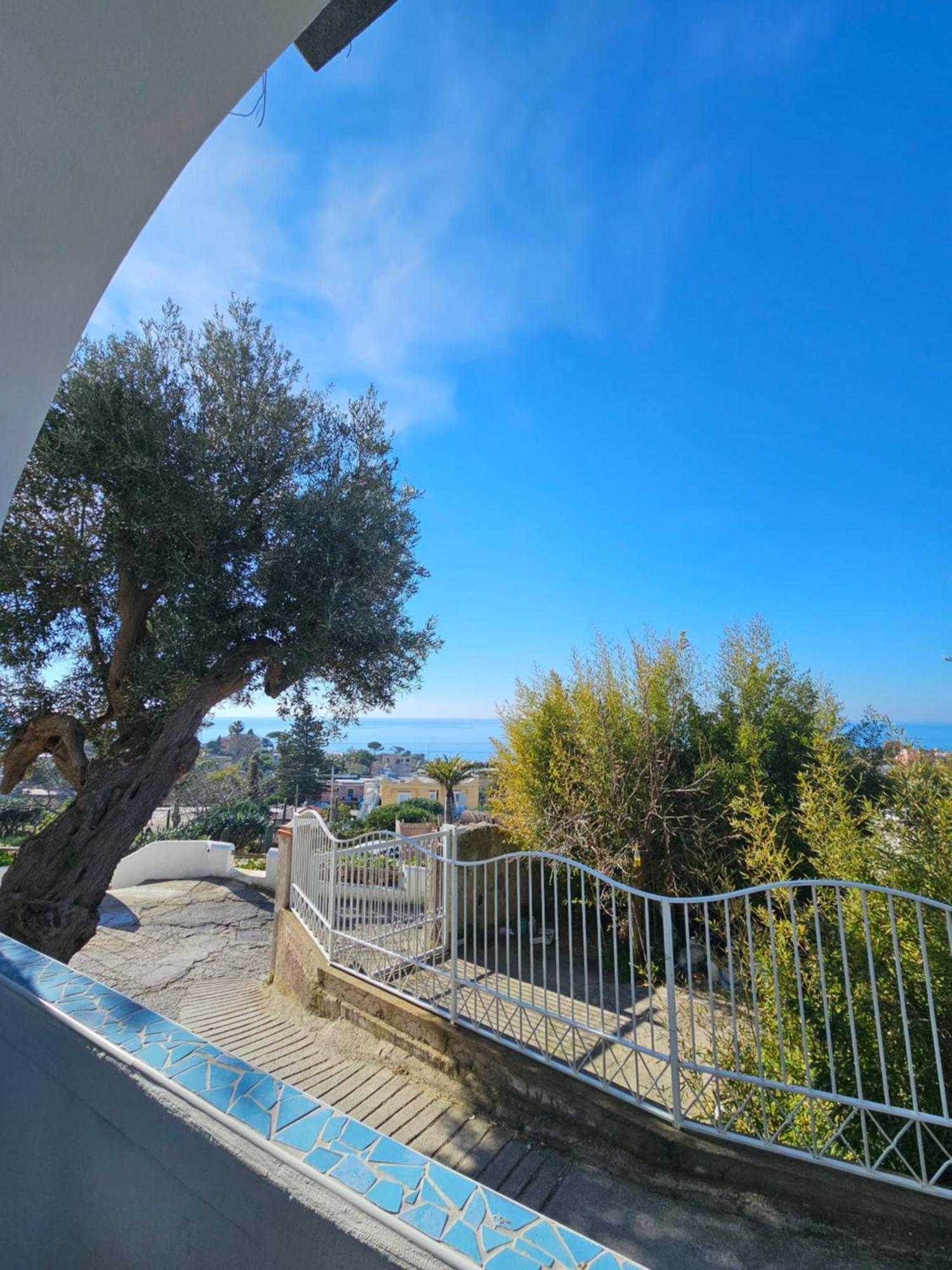 Residence Limoneto Ischia Forio di Ischia Exterior foto
