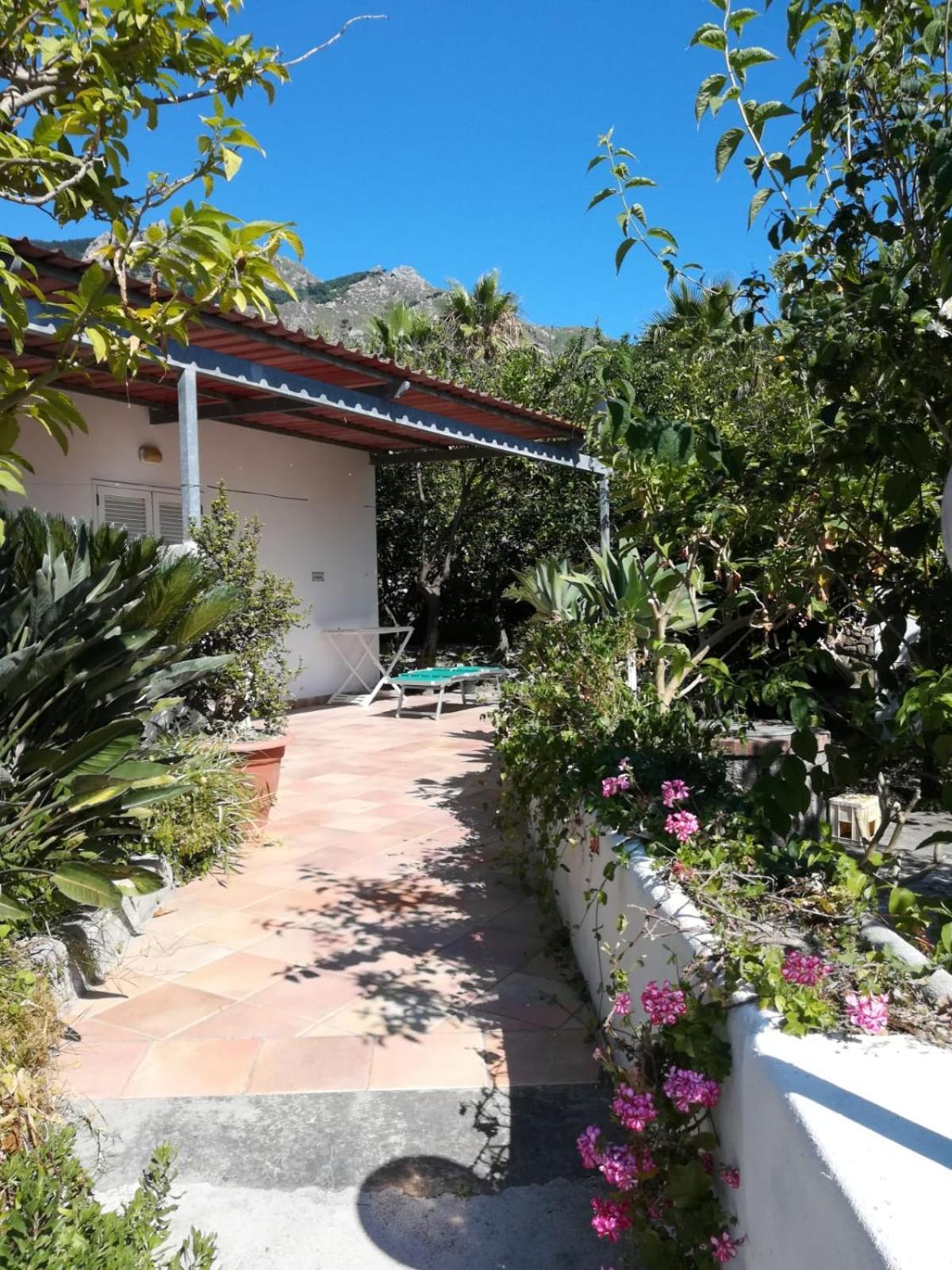 Residence Limoneto Ischia Forio di Ischia Exterior foto