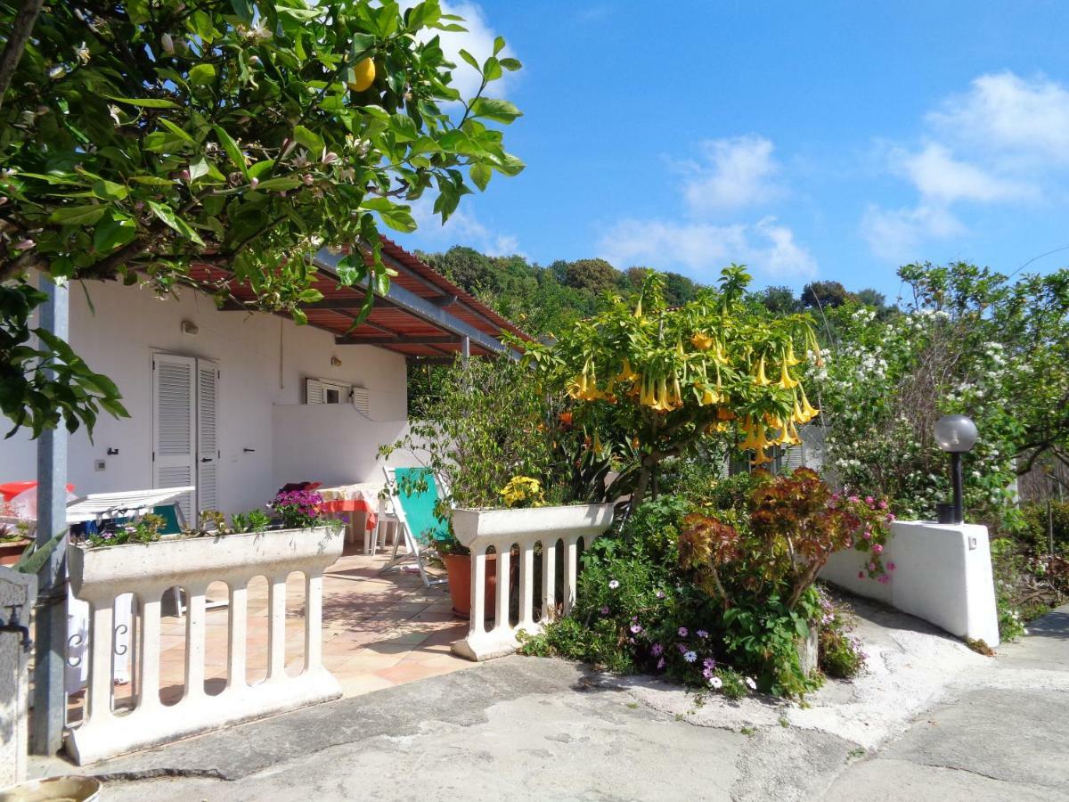 Residence Limoneto Ischia Forio di Ischia Exterior foto