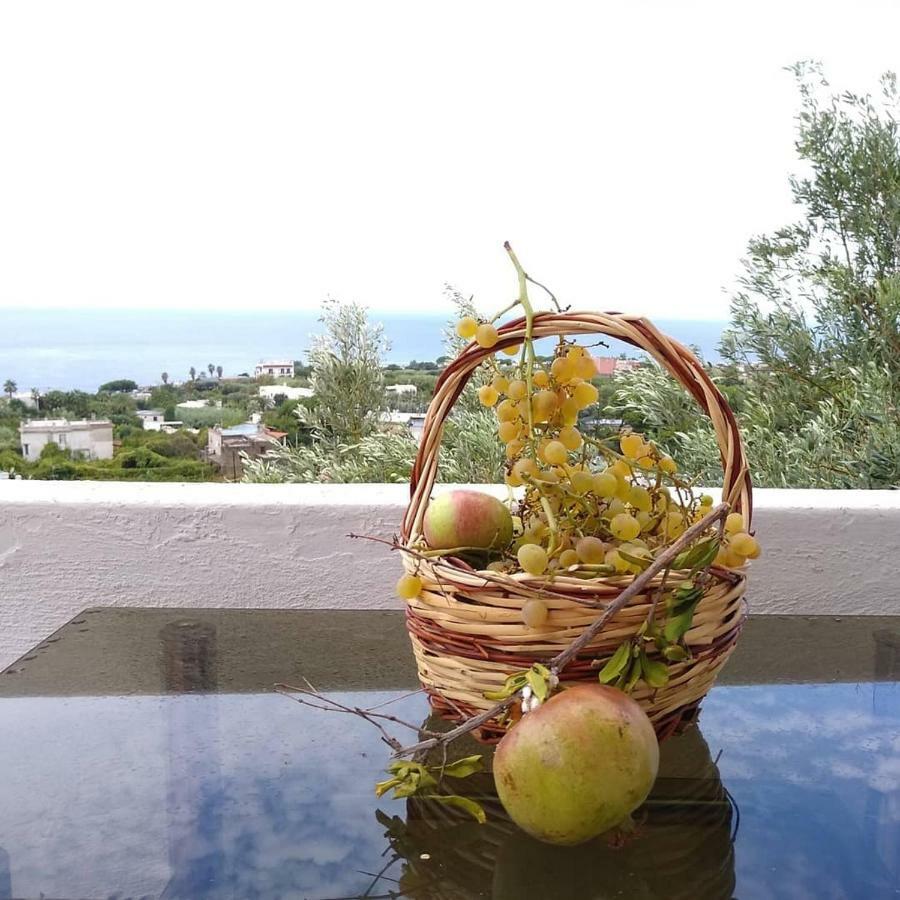 Residence Limoneto Ischia Forio di Ischia Exterior foto