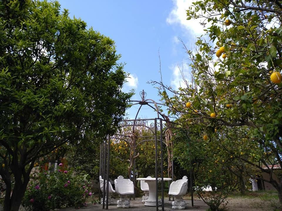 Residence Limoneto Ischia Forio di Ischia Exterior foto